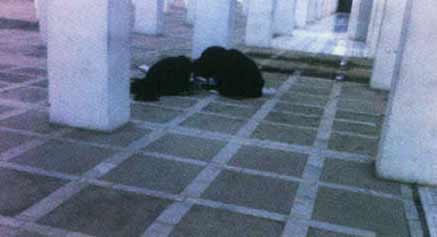 گو شه هايي از آسمان هشتم